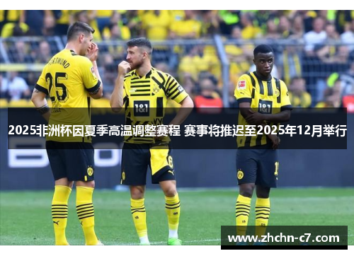 2025非洲杯因夏季高温调整赛程 赛事将推迟至2025年12月举行